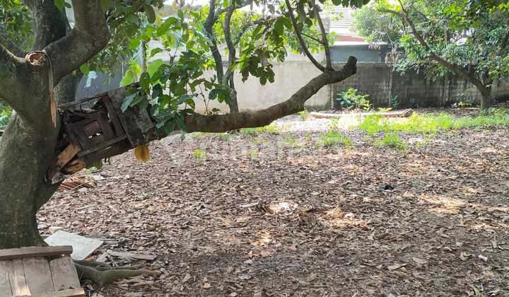 Dijual Tanah di Cilangkap Tipe 811M2 - Lokasi Strategis Dijual Tanah di Cilangkap Tipe 811M2 - Lokasi Strategis