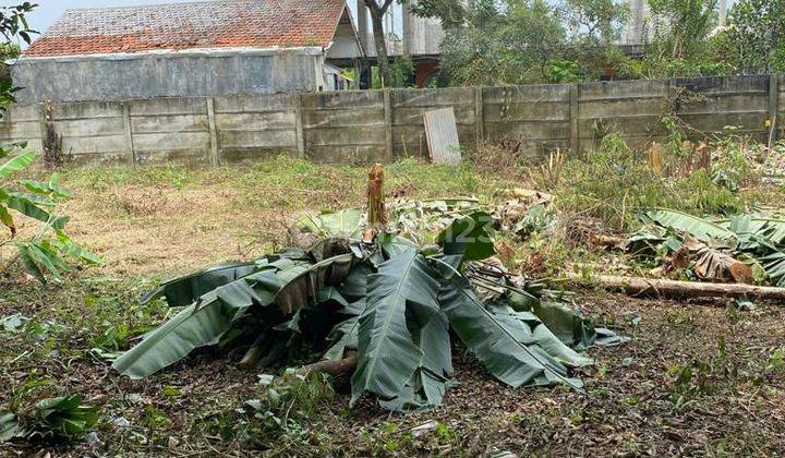 Tanah Bagus Perum Latu Mandagi Ciangsana Bogor di JUAL 2