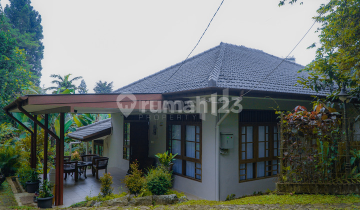 Villa Dijual di Megamendung Puncak - Villa Private dengan Tanah Luas