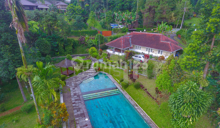 Villa Dijual di Megamendung Puncak - Villa Luas dengan Swimming Pool