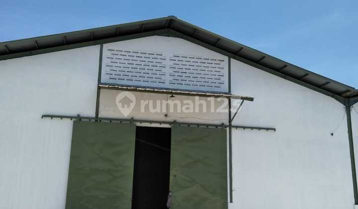 Disewakan Gudang Siap Pakai Tidak Banjir Tambak Langon Surabaya