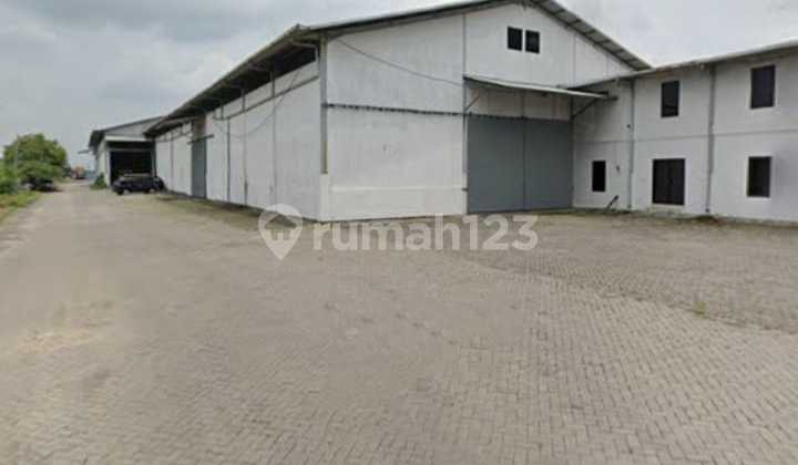 For Rent Ready-to-Use Warehouse Strategic Location Tb Osowilangun Sby