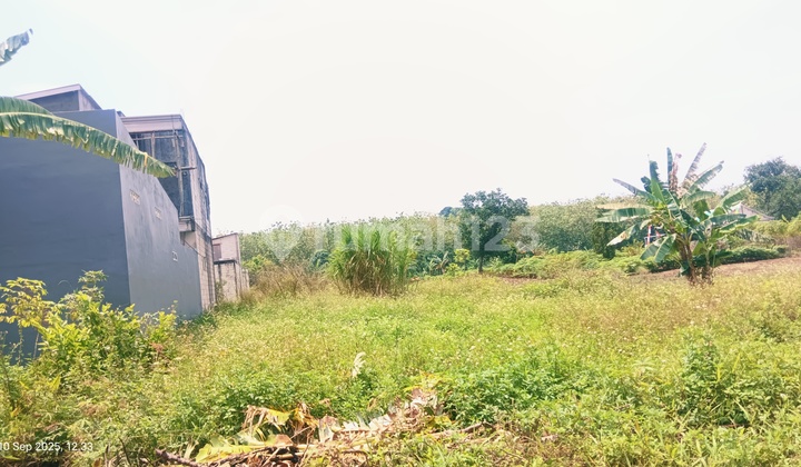 Cheap Land 160m In Ngaliyan Semarang 2