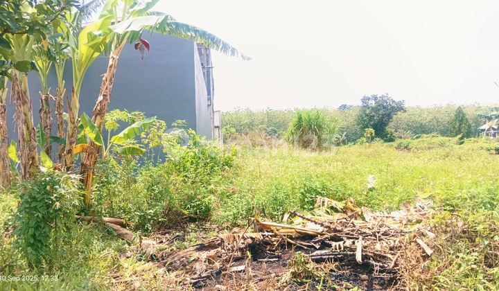 Cheap Land 160m In Ngaliyan Semarang 1