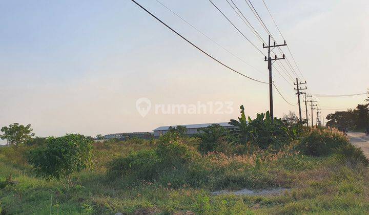 Lahan Industri Siap Bangun di Metatu Gresik, Gresik 2