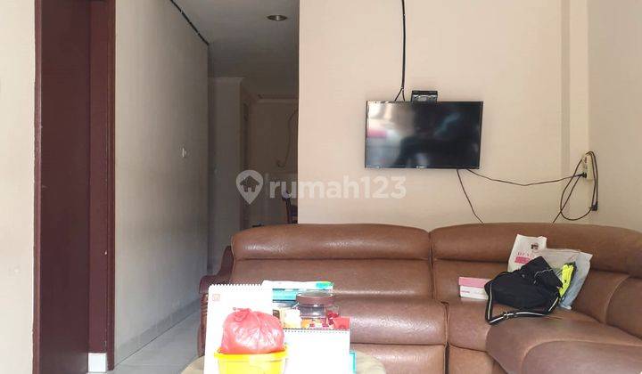 Hibrida Kelapa Gading Rumah 2lt Murah Meriah Siap Huni 3