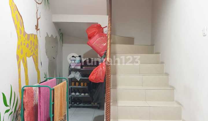 Hibrida Kelapa Gading Rumah 2lt Murah Meriah Siap Huni 5
