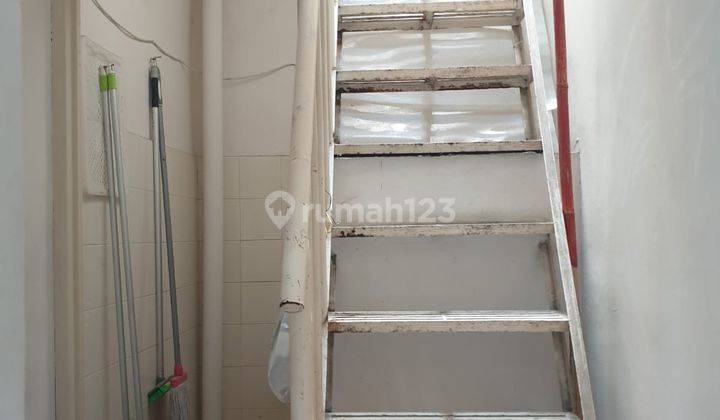 Hibrida Kelapa Gading Rumah 2lt Murah Meriah Siap Huni 6