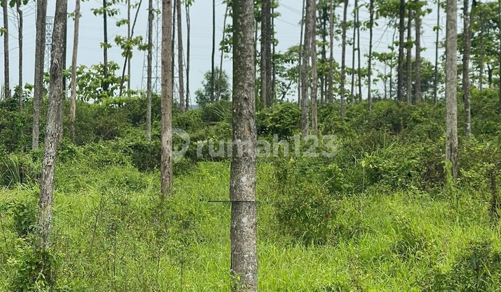 Tanah Karawang Barat Timur Cikarang Klari Jababeka Klari
