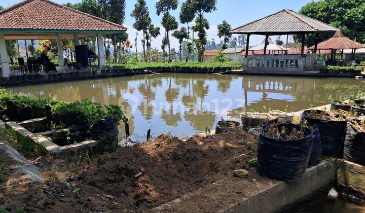 Rumah Antik Di Ciwidey Cocok Untuk Villa Atau Disewakan Kembali 2