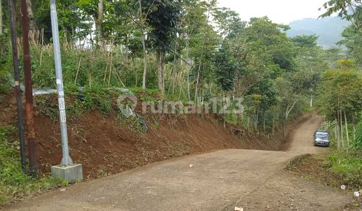 10 Ha Tanah Subur Untuk Pertanian Akses Jalan Bagus Di Ciwidey