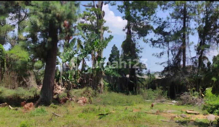 Lahan Strategis Buat Restoran di Kawasan Wisata Lembang Murah Lahan Strategis Buat Restoran di Kawasan Wisata Lembang Murah