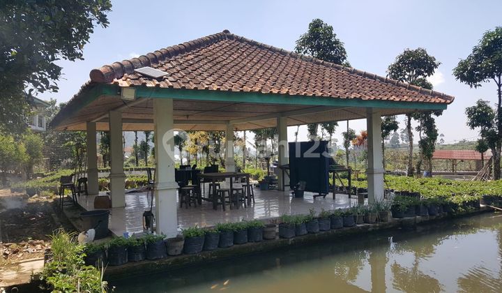 Rumah Antik Di Ciwidey Cocok Untuk Villa Atau Disewakan Kembali 1