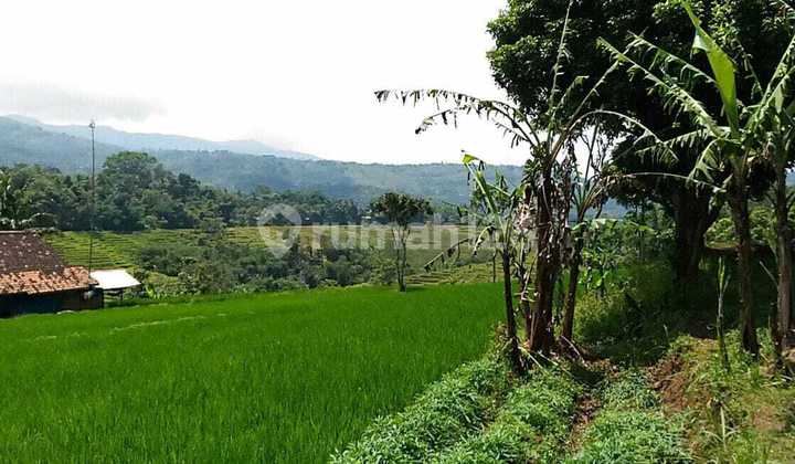 Tanah Murah Strategis di Jalan Utama Nagreg Cocok untuk Usaha