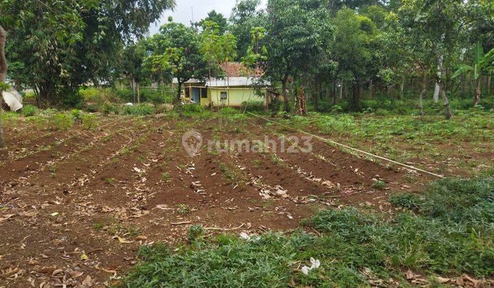 Buruan Beli Tanah Ciparay Available Stok 3 Unit Lagi 1