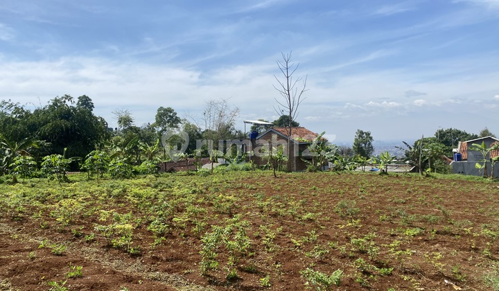 Tanah Padasuka 2 Jutaan Bandung  4