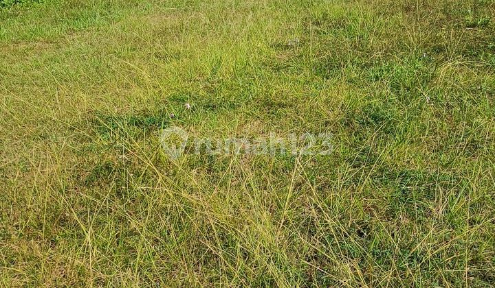 For Sale: Industrial Land Near Cimareme, Padalarang, West Bandung