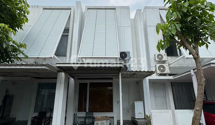 Sangat Mendesak Termurah Di Tabebuya Super BU