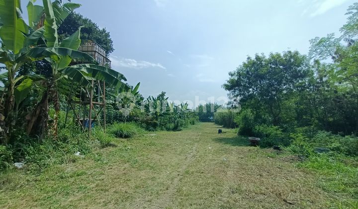 Tanah Kavling Siap Bangun di Gajah Mekar Kutawaringin Bandung