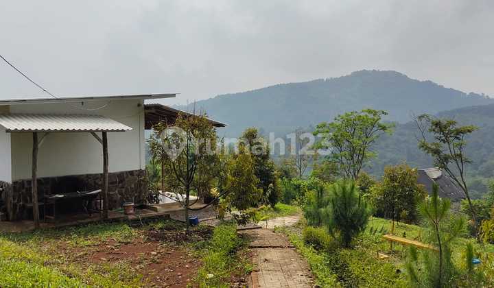Tanah Luas + Kebun Duren Di Cijambe Kota Subang Tanah Luas + Kebun Duren Di Cijambe Kota Subang