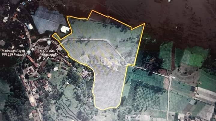 Villa plus kebun lemon california 3