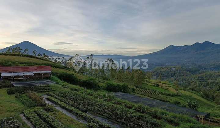 Jual Tanah kebun Murah Luas di Pinggir jalan Raya Kamojang-Garut 1