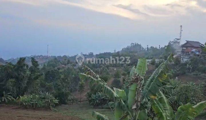 Taman Luas Cocok Bangun Hotel Glamping Kebun di Cimenyan Bandung 2