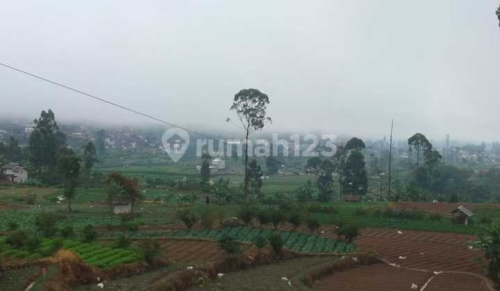 Tanah Kebun Murah Strategis Di Ciwidey Bandung Tanah Kebun Murah Strategis Di Ciwidey Bandung