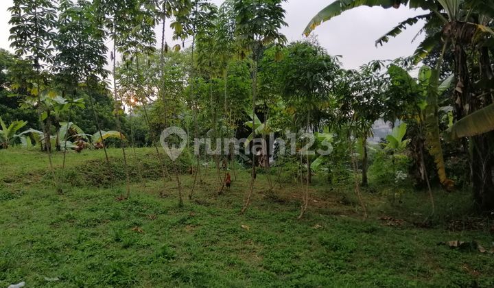 Jual Tanah Kavling Di Hegarsari Hegarmanah Cidadap Bandung Utara