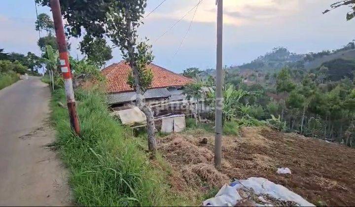 Taman Luas Cocok Bangun Hotel Glamping Kebun di Cimenyan Bandung 1