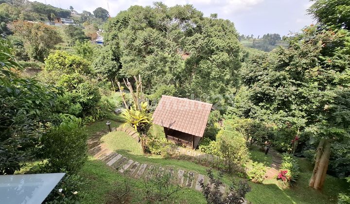 Jual Rumah Villa Estetik Di  Punclut  Pager wangi Lembang Bandung 2