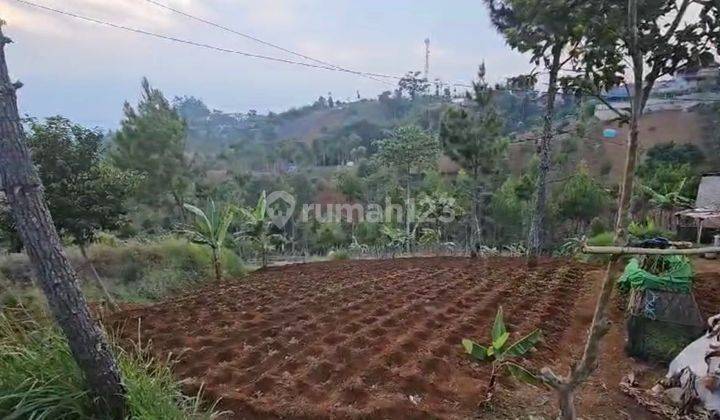 Taman Luas Cocok Bangun Hotel Glamping Kebun di Cimenyan Bandung 2