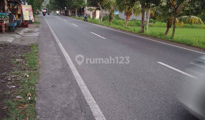 Tanah Sawah Pinggir Jalan Utama Jembrana Bali 1