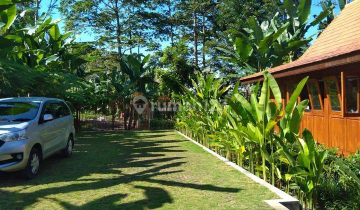 Dijual Spa Villa Payangan Dekat Ubud Bali 1