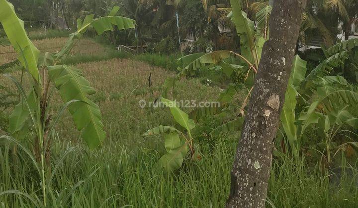 Land for sale near Ktewel Beach, Sanur, Gianyar, Bali 2