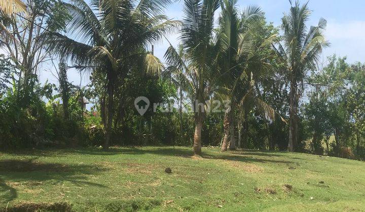 Dijual Tanah View Balian Beach Tabanan Bali 2