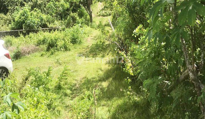 Cheap land for sale in Kutuh Ungasan Nusadua Bali 2