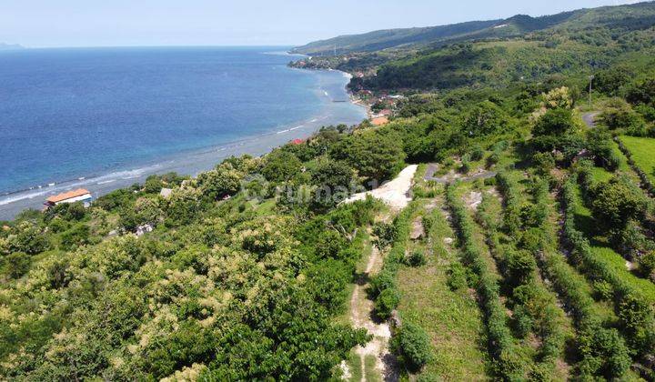 Dijual Tanah Murah View Laut Batununggal  Nusapenida Bali 2