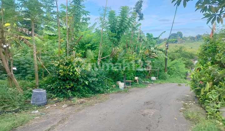 Dijual Tanah Kavling Kediri Tabanan Bali