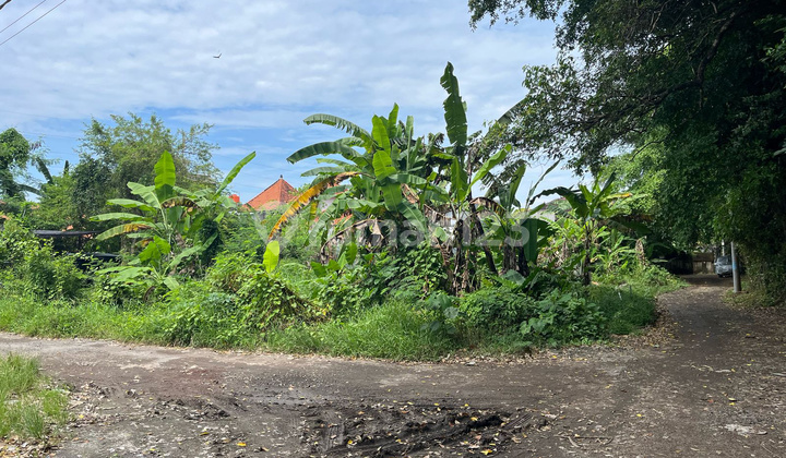 Cheap Small Land Area in Sanur, Bali - Strategic Location
