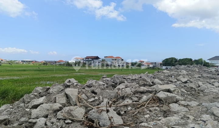Dijual Lahan Premium Pantai Brawa Canggu Bali Dijual Lahan Premium Pantai Brawa Canggu Bali