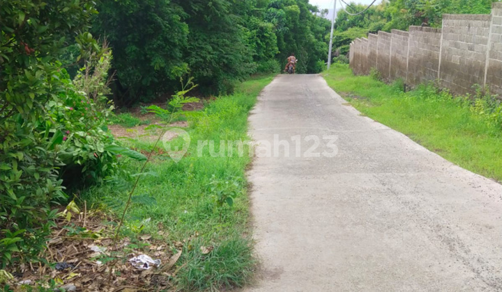 Land for Sale for Investment in Tejakula Buleleng Bali
