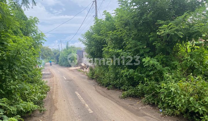 Tanah Murah Nusa Dua Bali Akses Jalan Lebar Tanah Murah Nusa Dua Bali Akses Jalan Lebar