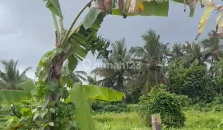 Dijual Lahan Strategis View Sawah Ubud Bali 2