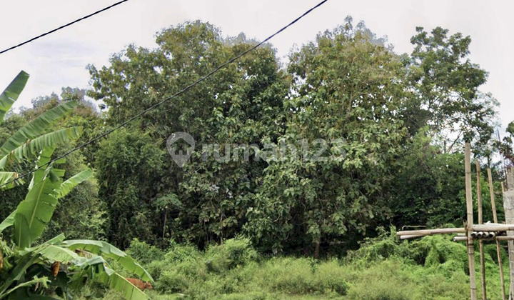 Lahan Kavling Kecil Nusa Dua Kawasan Pemukiman Lahan Kavling Kecil Nusa Dua Kawasan Pemukiman