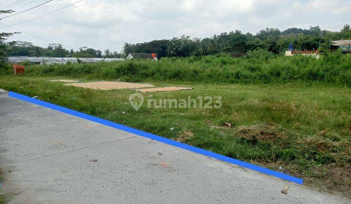 Dijual Tanah Strategis Hanya 500m Dr Kampus Umy  1