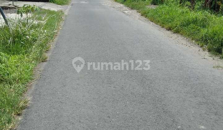Dijual Tanah Pekarangan Fisik Sawah Sangat Cocok Jadikan Kost-kosan Dekat Kampus Isi