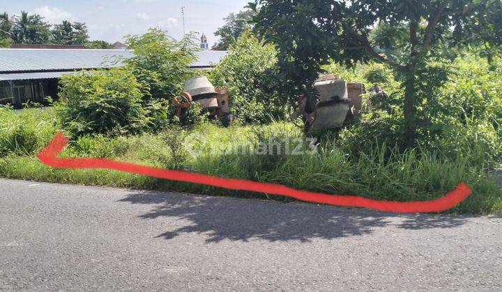 Tanah Strategis Murah Tepi Jln Aspal Barat Umy Ngebel Kasihan Bantul 1