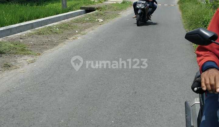 Dijual Tanah Pekarangan Fisik Sawah Sangat Cocok Jadikan Kost-kosan Dekat Kampus Isi