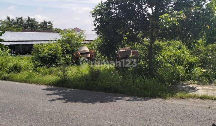 Tanah Strategis Murah Tepi Jln Aspal Barat Umy Ngebel Kasihan Bantul 2